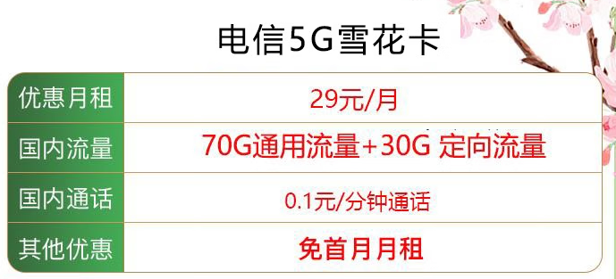 青島電信5G雪花卡100G全國通用流量+0.1元/分鐘通話+首月免月租 僅需29元